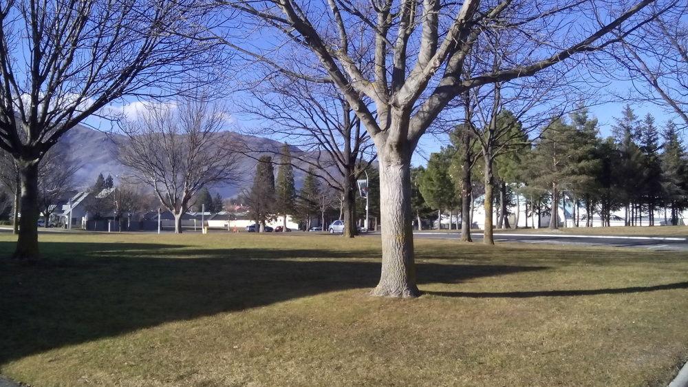 Cromwell Backpackers Pansiyon Dış mekan fotoğraf